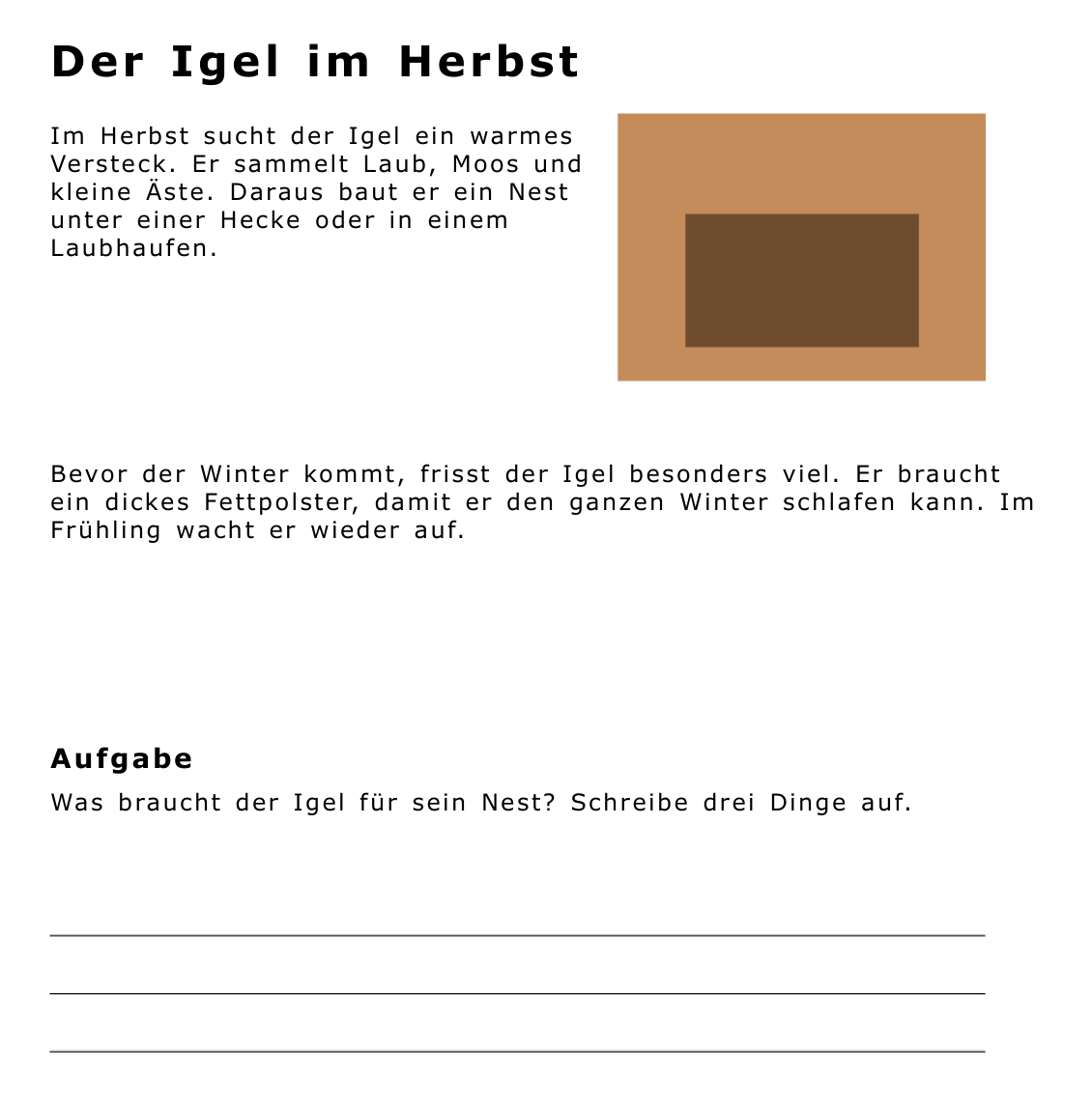 Dasselbe Arbeitsblatt nach CVI PDF: Text in Verdana mit mehr Buchstabenabstand, Bild, Aufgabe und Schreiblinien stehen am gleichen Ort.